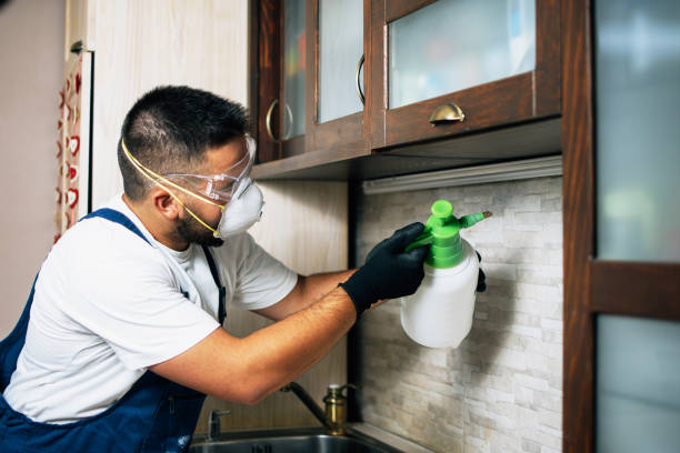 Best Local Pest Control Services  in Dubois, PA