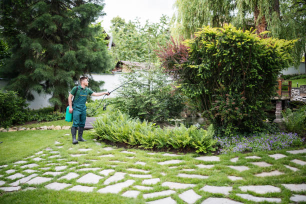Best Residential Pest Control  in Dubois, PA