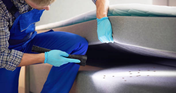 Best Mosquito Control Services  in Dubois, PA