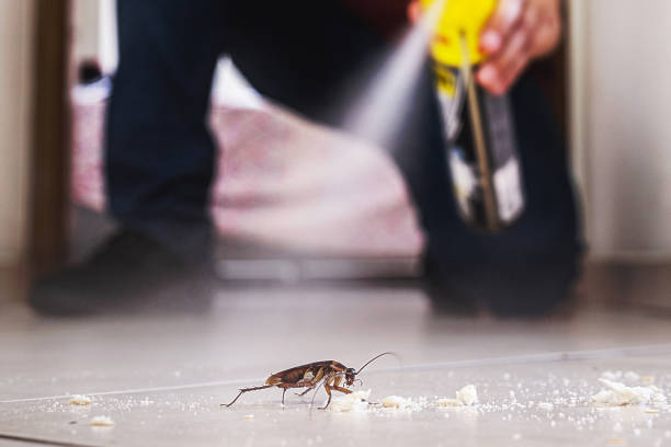 Best Pest Removal Services  in Dubois, PA