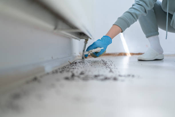Pest Control Cost in Dubois, PA