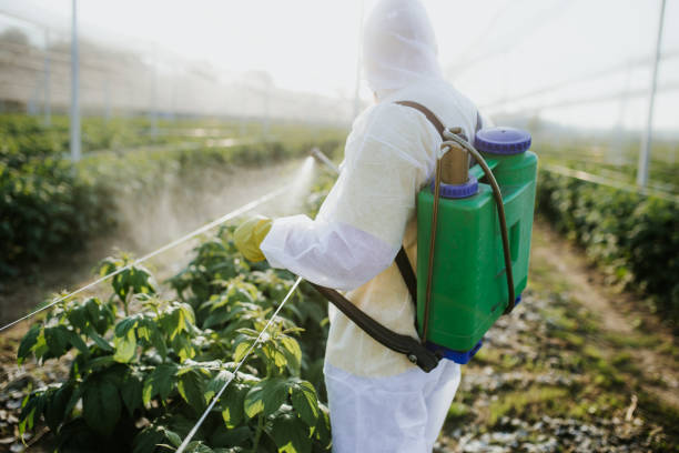 Best Bed Bug Extermination  in Dubois, PA